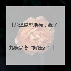 菏泽微型地标，藏了九味高考“解压剂”