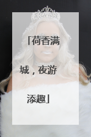 荷香满城，夜游添趣