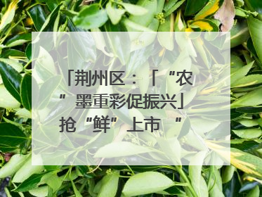 荆州区：「“农”墨重彩促振兴」抢“鲜”上市 “采摘经济”助农“甜蜜增收”