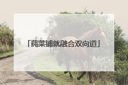 莼菜铺就融合双向道
