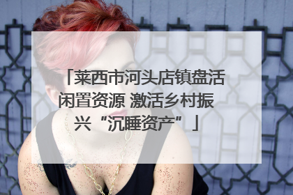莱西市河头店镇盘活闲置资源 激活乡村振兴“沉睡资产”