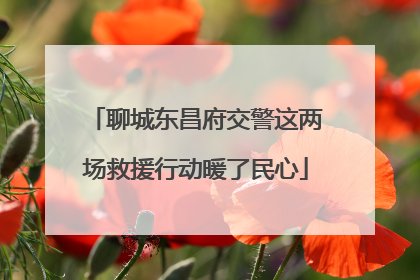 聊城东昌府交警这两场救援行动暖了民心