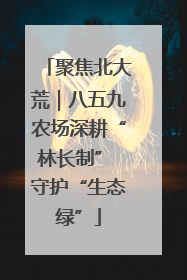 聚焦北大荒｜八五九农场深耕“林长制” 守护“生态绿”