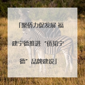 聚侨力促发展 福建宁德推进“侨见宁德”品牌建设