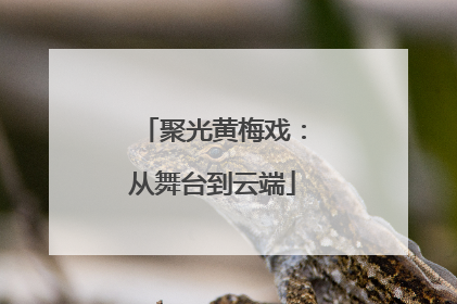 聚光黄梅戏：从舞台到云端