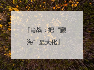 肖战：把“藏海”最大化