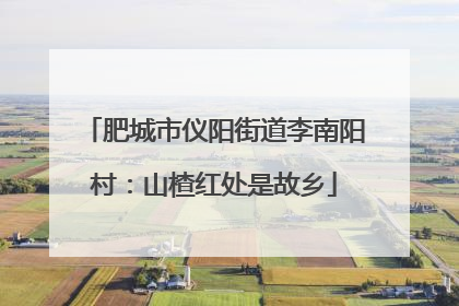 肥城市仪阳街道李南阳村：山楂红处是故乡