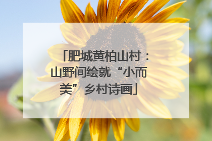 肥城黄柏山村：山野间绘就“小而美”乡村诗画