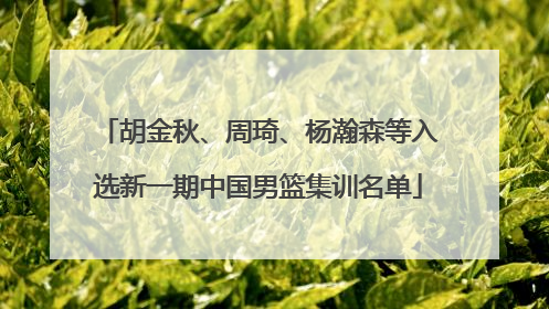 胡金秋、周琦、杨瀚森等入选新一期中国男篮集训名单