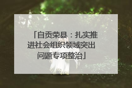自贡荣县：扎实推进社会组织领域突出问题专项整治