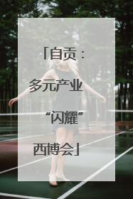 自贡：多元产业“闪耀”西博会