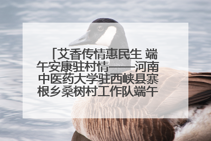 艾香传情惠民生 端午安康驻村情——河南中医药大学驻西峡县寨根乡桑树村工作队端午中医惠民记