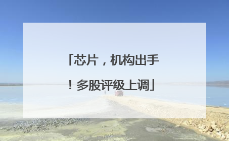 芯片，机构出手！多股评级上调