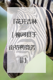 花开吉林｜柳河县千亩芍药竞芳菲