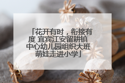 花开有时，衔接有度 宜宾江安留耕镇中心幼儿园组织大班萌娃走进小学