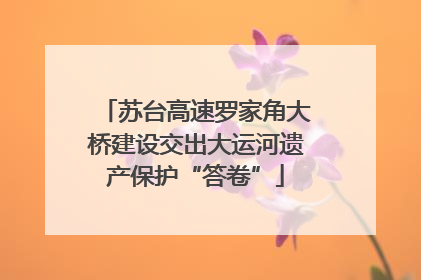 苏台高速罗家角大桥建设交出大运河遗产保护“答卷”