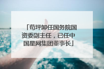 苟坪卸任国务院国资委副主任，已任中国星网集团董事长