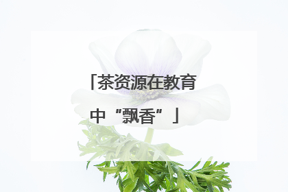 茶资源在教育中“飘香”