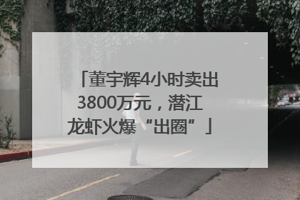 董宇辉4小时卖出3800万元，潜江龙虾火爆“出圈”