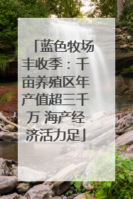 蓝色牧场丰收季：千亩养殖区年产值超三千万 海产经济活力足