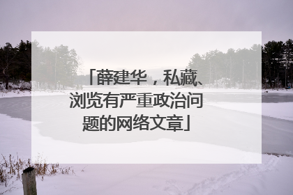 薛建华，私藏、浏览有严重政治问题的网络文章