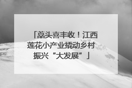 藠头喜丰收！江西莲花小产业撬动乡村振兴“大发展”