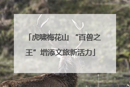 虎啸梅花山 “百兽之王”增添文旅新活力