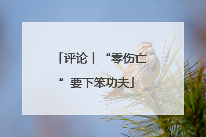 评论丨“零伤亡”要下笨功夫