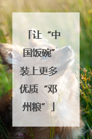 让“中国饭碗”装上更多优质“邓州粮”