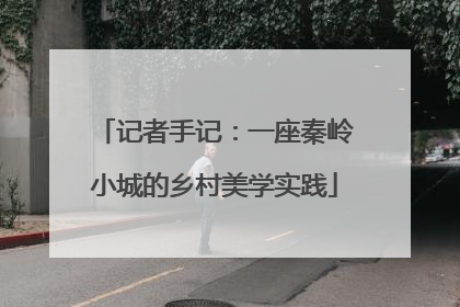 记者手记：一座秦岭小城的乡村美学实践