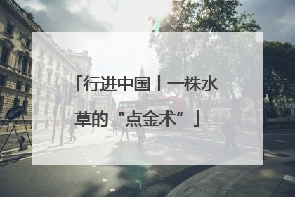 行进中国丨一株水草的“点金术”
