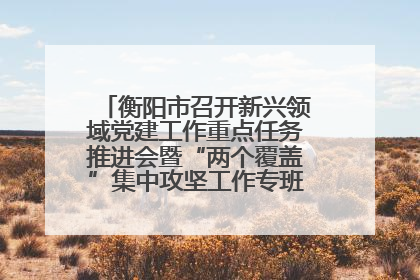 衡阳市召开新兴领域党建工作重点任务推进会暨“两个覆盖”集中攻坚工作专班 第一次会议