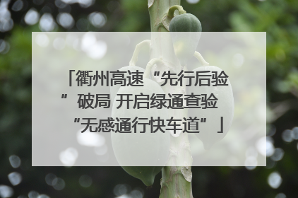 衢州高速“先行后验”破局 开启绿通查验“无感通行快车道”