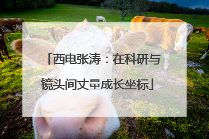 西电张涛：在科研与镜头间丈量成长坐标