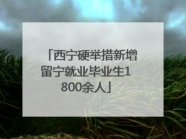 西宁硬举措新增留宁就业毕业生1800余人