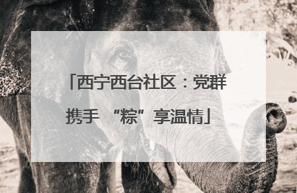 西宁西台社区：党群携手 “粽”享温情