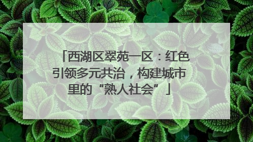西湖区翠苑一区：红色引领多元共治，构建城市里的“熟人社会”