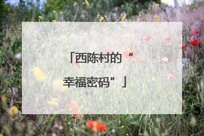 西陈村的“幸福密码”
