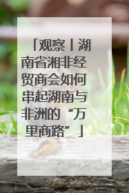 观察丨湖南省湘非经贸商会如何串起湖南与非洲的“万里商路”