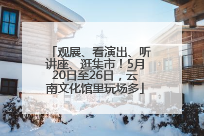 观展、看演出、听讲座、逛集市！5月20日至26日，云南文化馆里玩场多