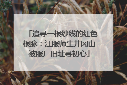 追寻一根纱线的红色根脉：江服师生井冈山被服厂旧址寻初心