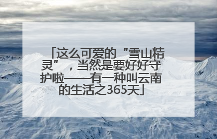 这么可爱的“雪山精灵”，当然是要好好守护啦——有一种叫云南的生活之365天