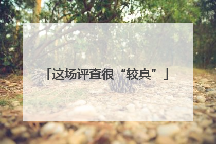 这场评查很“较真”