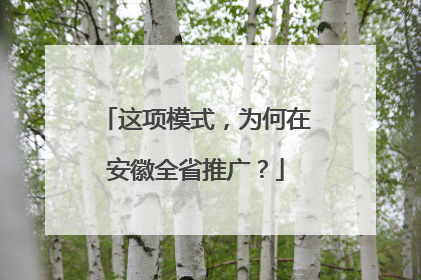 这项模式，为何在安徽全省推广？