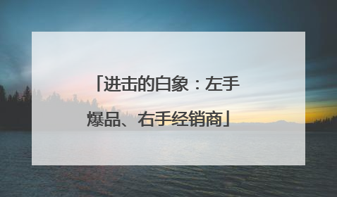 进击的白象：左手爆品、右手经销商