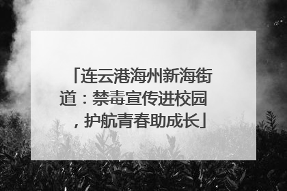 连云港海州新海街道：禁毒宣传进校园，护航青春助成长