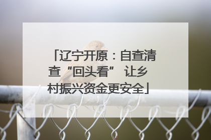 辽宁开原：自查清查“回头看” 让乡村振兴资金更安全