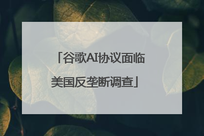 谷歌AI协议面临美国反垄断调查