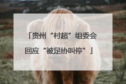 贵州“村超”组委会回应“被足协叫停”
