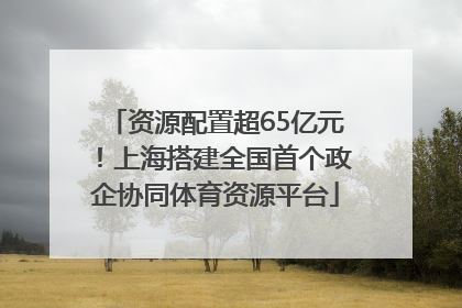 资源配置超65亿元！上海搭建全国首个政企协同体育资源平台